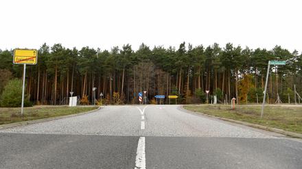 Auf dem Waldstück der Gemeinde Grünheide will der Elektroauto-Hersteller Tesla die neue Fabrik für Elektroautos bauen.