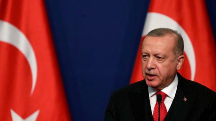 Harte Linie gegen IS-Anhänger: Der türkische Präsident Recep Tayyip Erdogan 