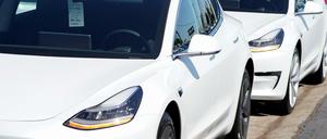 Baustart 2020, Eröffnung 2021? Elon Musk will seine Tesla-Fabrik schnell eröffnen. 