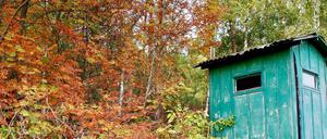 Herbstfarben im Fläming