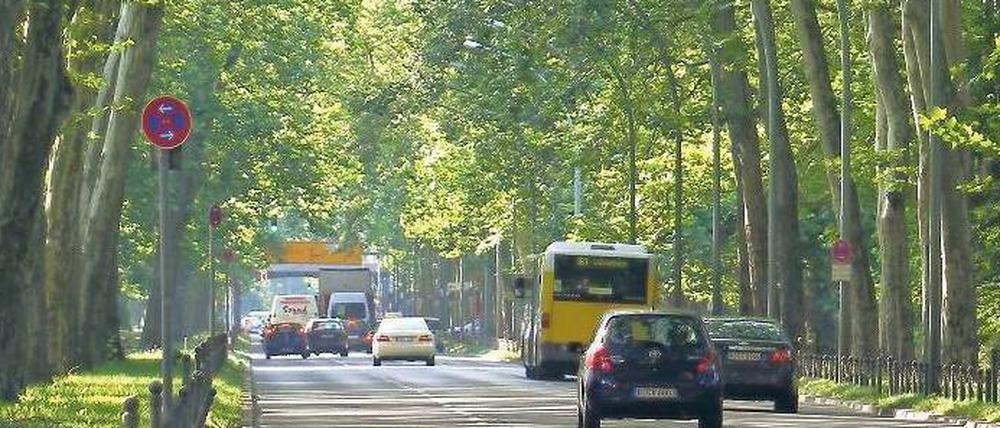 Puschkinallee mit Autos und grün belaubten Bäumen im Sommer.