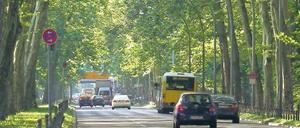 Puschkinallee mit Autos und grün belaubten Bäumen im Sommer.