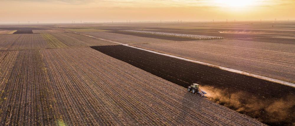 Weites Feld: Mehr als die Hälfte der Agrarflächen gehören bereits Nicht-Bauern in Deutschland. 