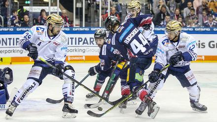 Herzlich Willkommen. Die Eisbären-Fans empfingen Iserlohns Jens Baxmann (l.) freundlich. Nur auf dem Eis gab's keine Geschenke.