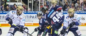 Herzlich Willkommen. Die Eisbären-Fans empfingen Iserlohns Jens Baxmann (l.) freundlich. Nur auf dem Eis gab's keine Geschenke.