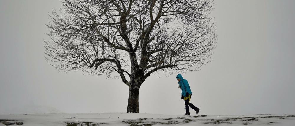 Die Winterstimmung schlägt vielen Menschen auf die Laune.