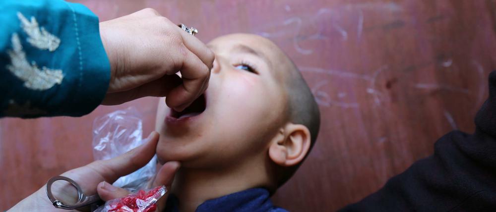 Der 3-jährige Moheburrahman aus Afghanistan bekommt die Polio-Schluckimpfung.