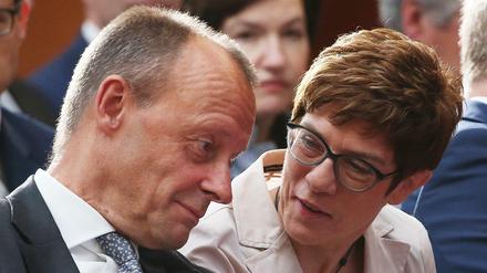Waffenstillstand zwischen Friedrich Merz CDU-Parteichefin Annegret Kramp-Karrenbauer und ihrem Rivalen Friedrich Merz.