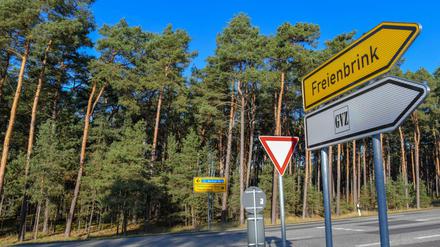 20 Jahre war Ruhe. Auf dem Gelände, das für die Tesa-Ansiedlung vorgesehen ist, hat sich die Natur ungestört entickelt.