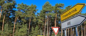 20 Jahre war Ruhe. Auf dem Gelände, das für die Tesa-Ansiedlung vorgesehen ist, hat sich die Natur ungestört entickelt.