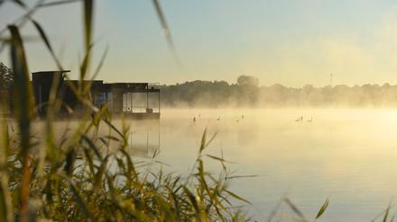 Ein nebliger Morgen wirkt in Neuruppin auch im Winter mystisch.