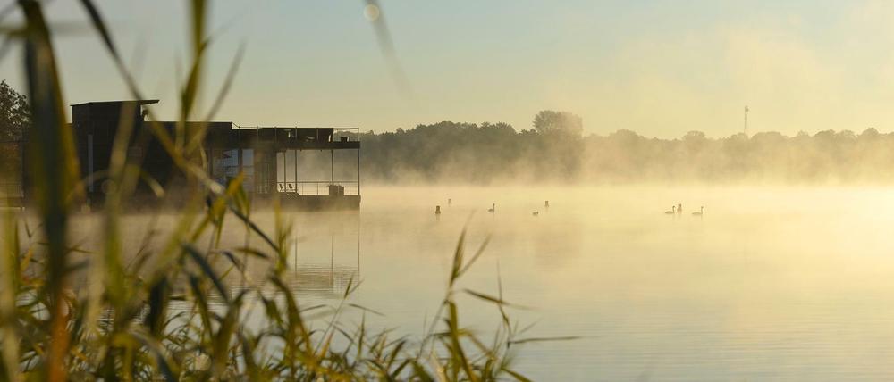 Ein nebliger Morgen wirkt in Neuruppin auch im Winter mystisch.