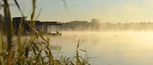 Ein nebliger Morgen wirkt in Neuruppin auch im Winter mystisch.