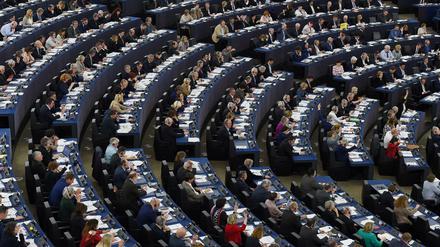 Die EU-Abgeordneten entscheiden am Ende über den künftigen Finanzrahmen der EU auch mit. 