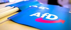 Teile der AfD sind im Visier des Verfassungschutzes.