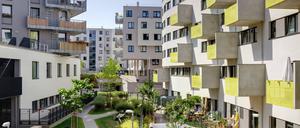 Kann die Wiener „Seestadt Aspern“ Vorbild für Berlin sein? 