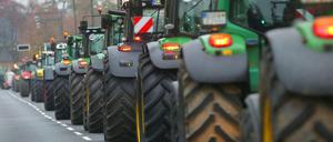 Der Protest richtet sich gegen die Agrarpläne der Bundesregierung.