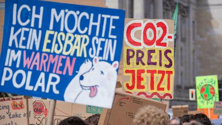 Teilnehmer einer „Fridays for Future“-Demonstration in Berlin