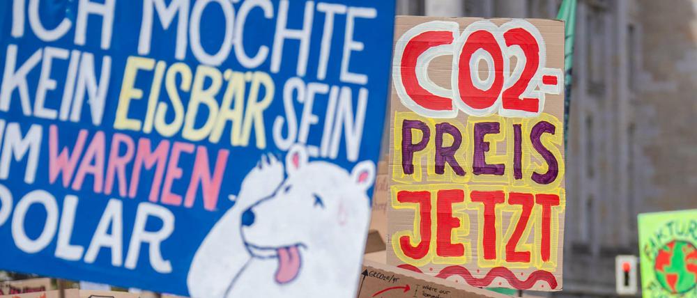 Teilnehmer einer „Fridays for Future“-Demonstration in Berlin