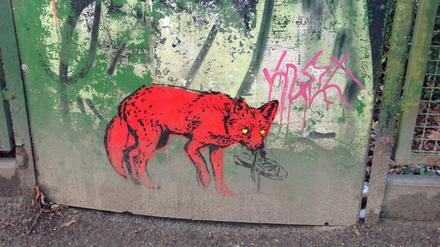 "Ohne den Blick abzuwenden, steige ich vom Rad. Aus Respekt. Der Fuchs bewegt sich keinen Millimeter..."