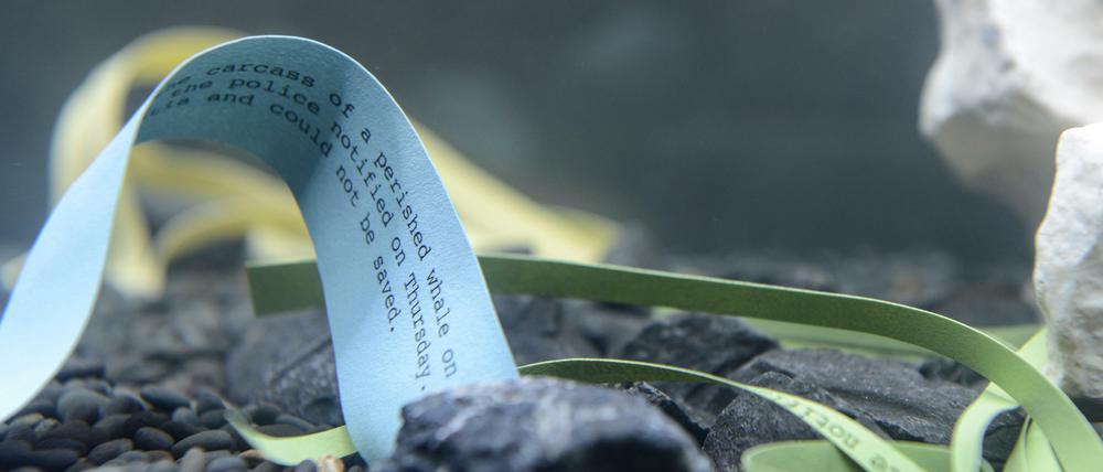 Newsroom. Ein Aquarium mit nachrichtlich relevantem Inhalt hat Antje Vowinckel geschaffen.