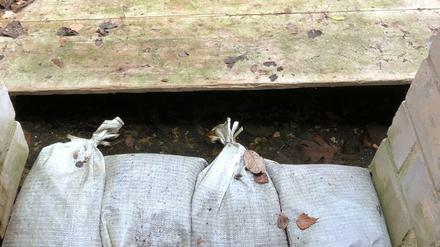 Im Blumenviertel in Rudow haben Anwohner mit steigendem Grundwasser zu kämpfen. Deswegen sind die Keller feucht.