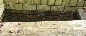 Im Blumenviertel in Rudow haben Anwohner mit steigendem Grundwasser zu kämpfen. Deswegen sind die Keller feucht.