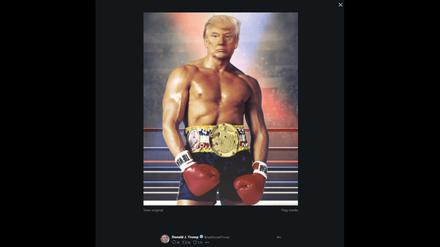 Das hätte er wohl gerne. US-Präsident Donald Trump mit dem Körper von Rocky.