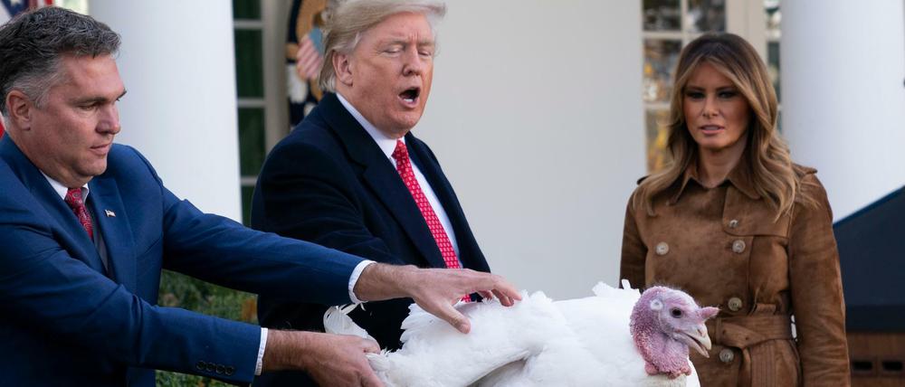 Donald Trump begnadigt vor Thanksgiving den Truthahn "Butter". 