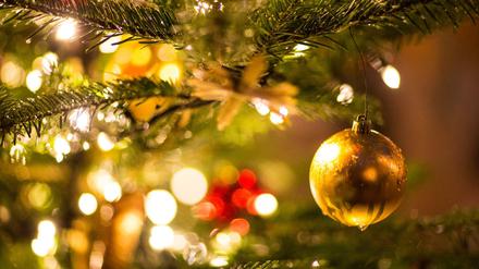 Jeden Tag bis Weihnachten öffnen wir ein Türchen im Tagesspiegel-Adventskalender.