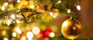 Jeden Tag bis Weihnachten öffnen wir ein Türchen im Tagesspiegel-Adventskalender.