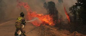 Waldbrände in Chile.