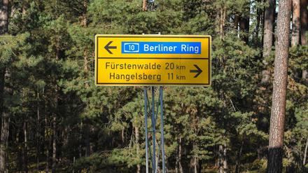 Gemeinde Grünheide. In dieser Gegend östlich von Berlin plant Tesla den Bau einer Gigafactory.