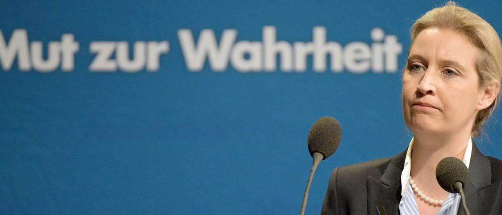 Dass die Erderwärmung an der Sonne liege, behauptete kürzlich AfD-Fraktionschefin Weidel.