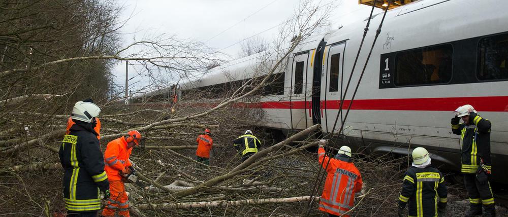 Vergangenen Januar legte ein Sturmtief die ICE-Trasse zwischen Hannover und Göttingen lahm.
