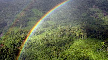 Regenbogen über dem Regenwald in Malaysia.