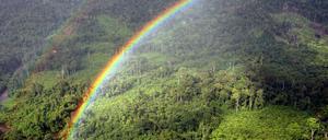 Regenbogen über dem Regenwald in Malaysia.