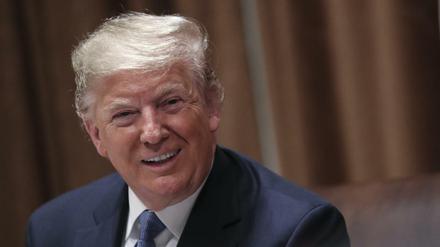 US-Präsident Donald Trump spricht im Weißen Haus mit Vertretern des Sicherheitsrat der Vereinten Nationen.
