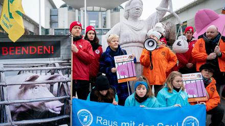Renate Künast (Grüne) demonstrierte mit Tierschützern am Rande des "Agrargipfels" vor dem Bundeskanzleramt. 