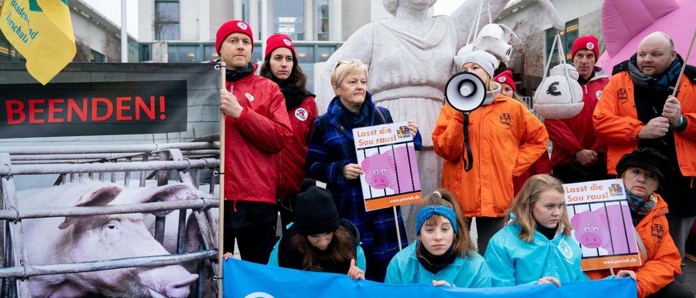 Renate Künast (Grüne) demonstrierte mit Tierschützern am Rande des "Agrargipfels" vor dem Bundeskanzleramt. 