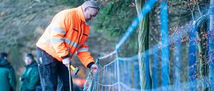 Ein Mitarbeiter eines sächsischen Veterinäramtes baut einen Elektro-Wildabwehrzaun mit Duftkomponente an einem Waldrand auf.