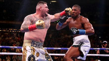 Keine Chance. Andy Ruiz ist der Favorit gegen Anthony Joshua (r.).