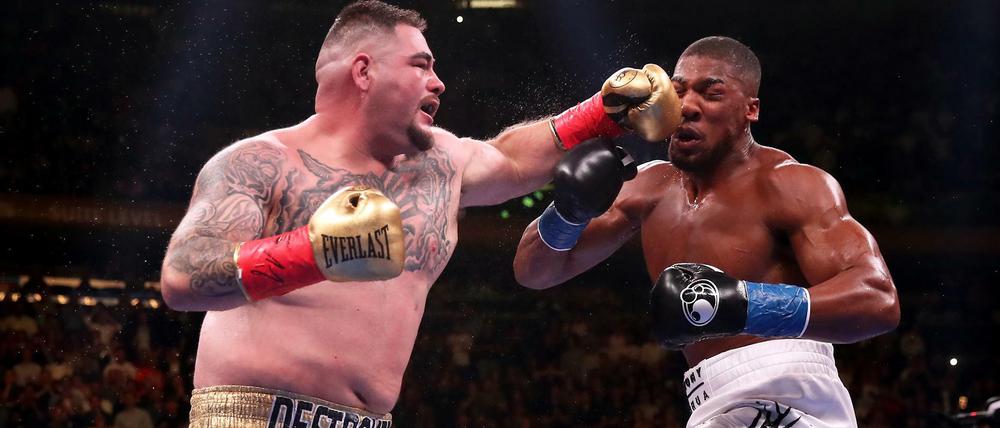 Keine Chance. Andy Ruiz ist der Favorit gegen Anthony Joshua (r.).
