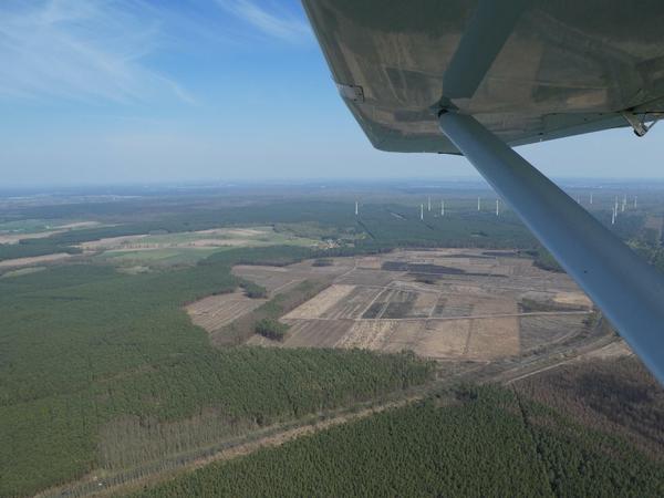 Ein Luftbild der Fläche, die bald wieder Wald sein soll.