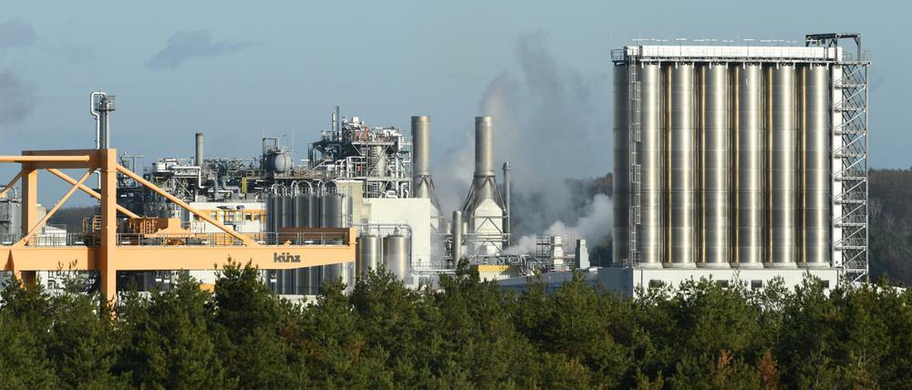 BASF in Schwarzheide.