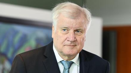 Bundesinnenminister Horst Seehofer (Archiv). 