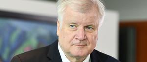 Bundesinnenminister Horst Seehofer (Archiv).