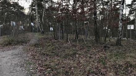 Insgesamt 100 Schilder stehen im Wald.
