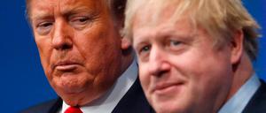 In Stil und Substanz wie Zwillinge - Donald Trump und Boris Johnson 