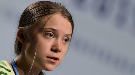 Greta Thunberg twitterte über ihre Heimreise. Die DB outete sie als Erste-Klasse-Passagierin.